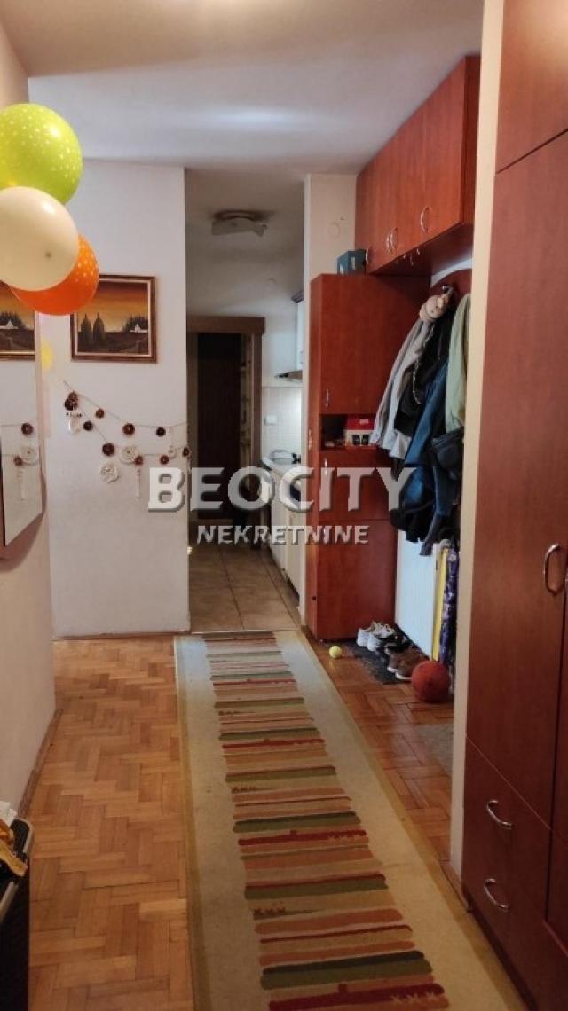 Novi Sad, Sajam, , 2. 5, 62m2, 800EUR