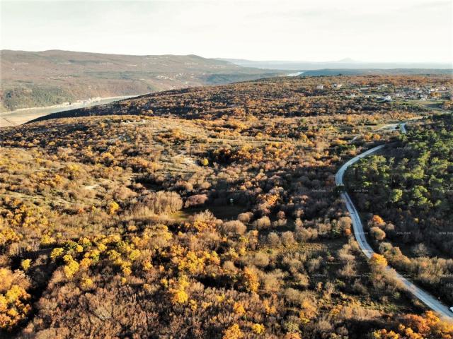 Agricultural land HRBOKI. 25,000 M2 IDEAL FOR OPG.