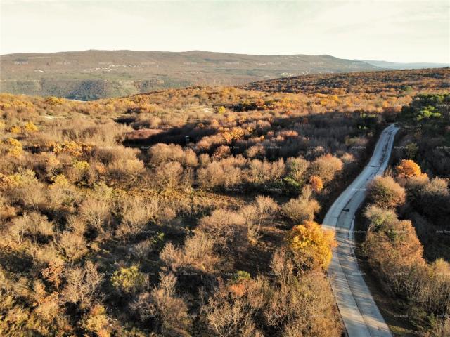 Agricultural land HRBOKI. 25,000 M2 IDEAL FOR OPG.