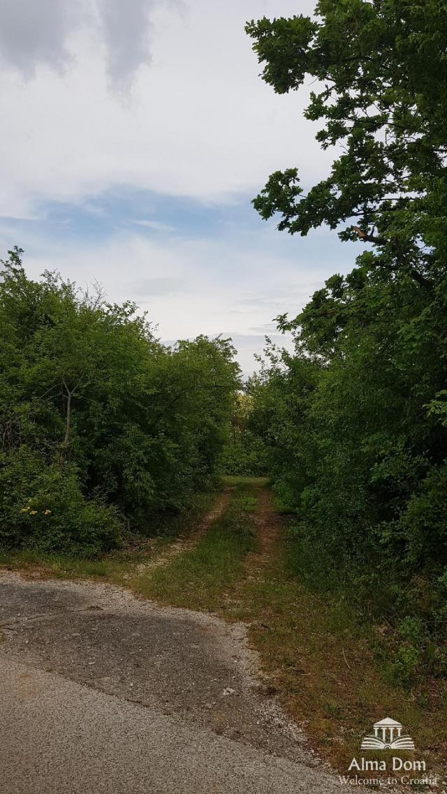 Landwirtschaftsgrundstück HRBOKI. 25.000 M2 IDEAL FÜR OPG.