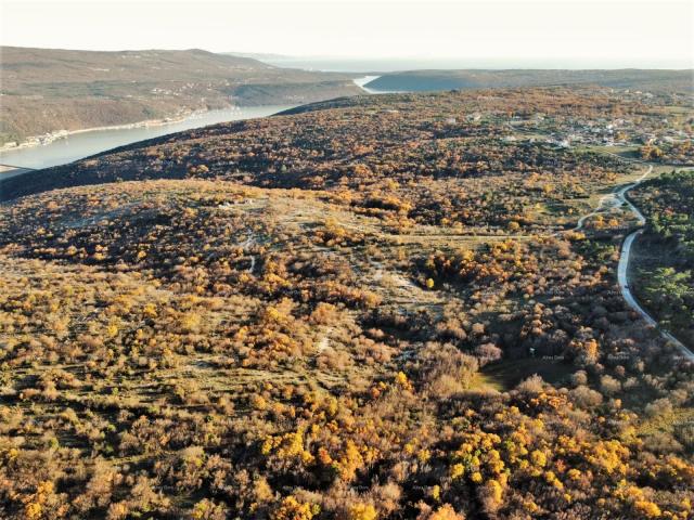 Agricultural land HRBOKI. 25,000 M2 IDEAL FOR OPG.