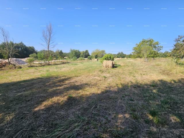 Građevinsko zemljište Prodaja građevinskog zemljišta, Žminj