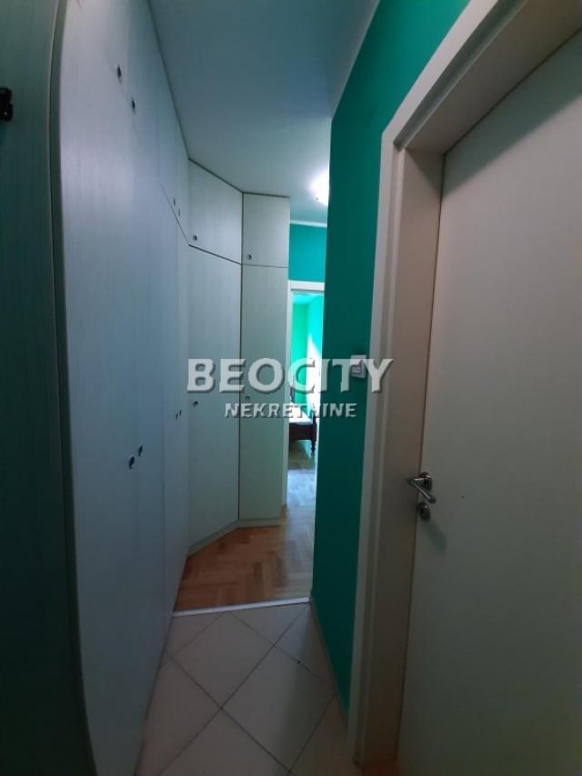 Novi Sad, Detelinara, , 1. 5, 40m2, 400EUR