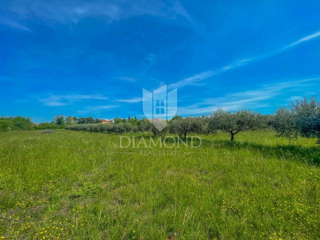 Umag area, spacious land for investment