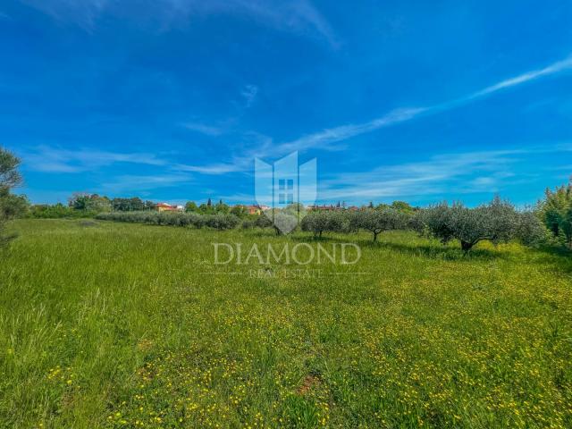 Land Umag, 1.367m2