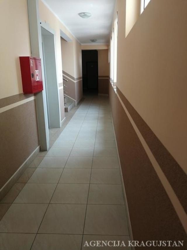 Izdavanje, Stan, 20. 00m2 , Centar