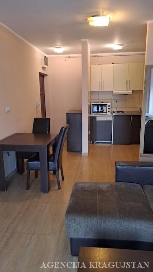 Izdavanje, Stan, 45. 00m2 , Centar