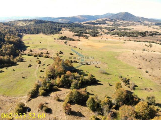 Zlatibor planina - Draglica, dve parcele 141. 5 ari