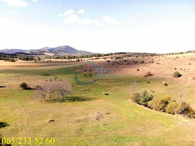 Zlatibor planina - Draglica, dve parcele 141. 5 ari