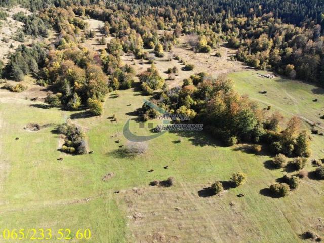 Zlatibor planina - Draglica, dve parcele 141. 5 ari