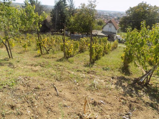 Na prodaju plac sa pogledom na grad