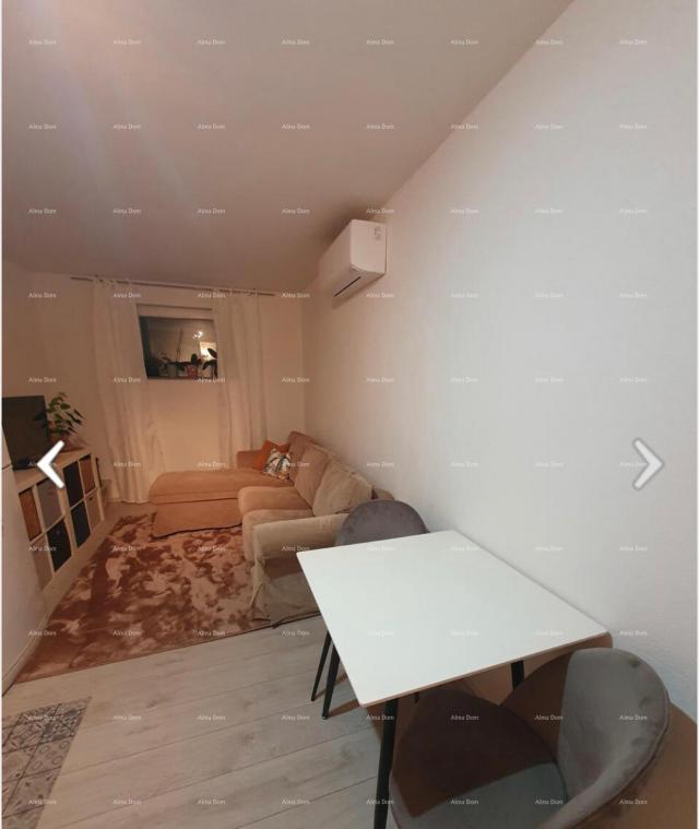 Wohnung Geräumige Erdgeschosswohnung, Brtonigla, Istrien.