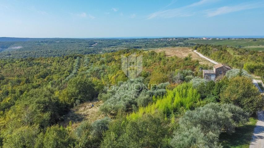 Seltenheit! Wunderschöne Villa mit herrlicher Aussicht!