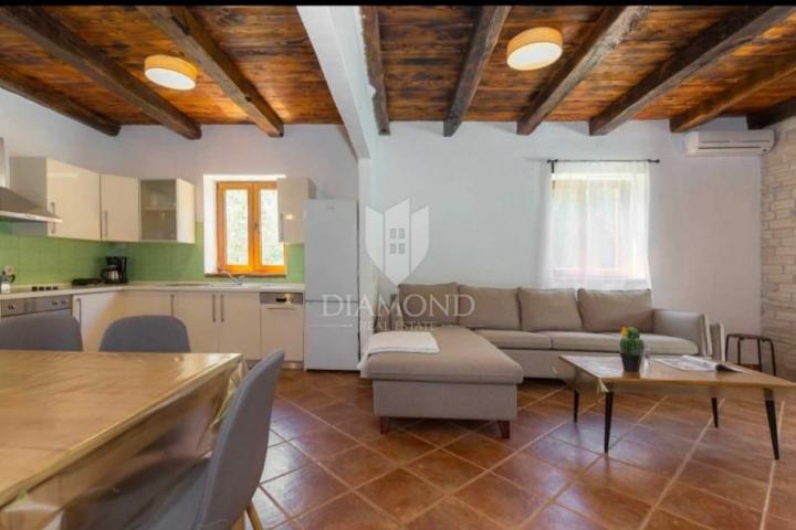 Attractive villa in the heart of Istria