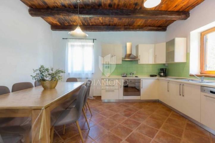 Attractive villa in the heart of Istria