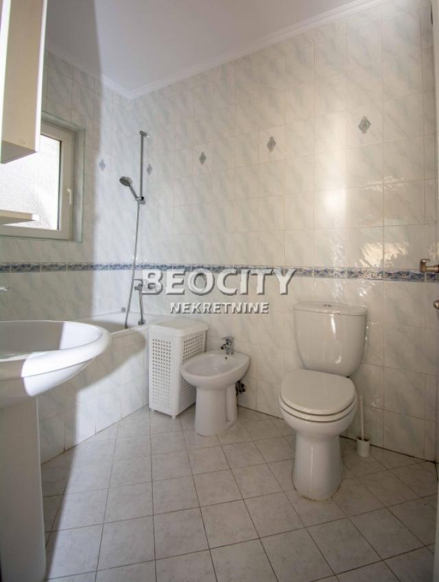 Zemun, Donji grad, Radoja Dakića, 5. 0, 300m2, 3500EUR