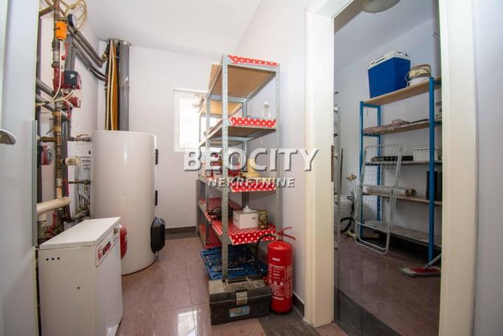 Zemun, Donji grad, Radoja Dakića, 5. 0, 300m2, 3500EUR