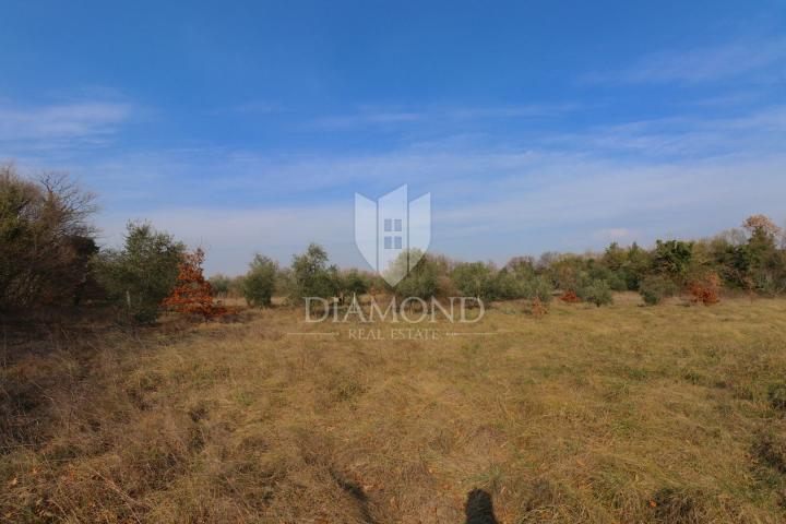 Land Barban, 901m2