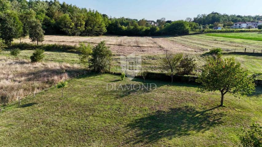 Nice building plot near Labin