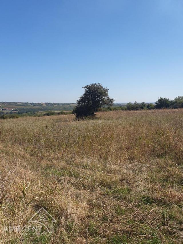 DIREKTNA PRODAJA! FANTASTIČNA PRILIKA ZA INVESTICIJU, PLAC VRDNIK, 4034m2 SA POGLEDOM