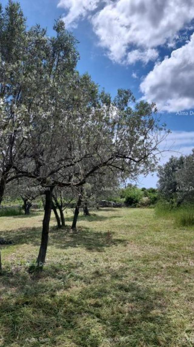 Građevinsko zemljište Prodaje se građevinsko zemljište, 647 m2, u Galižani