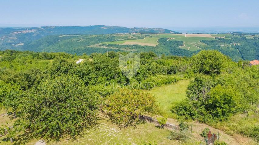 Land Buje, 1.205m2