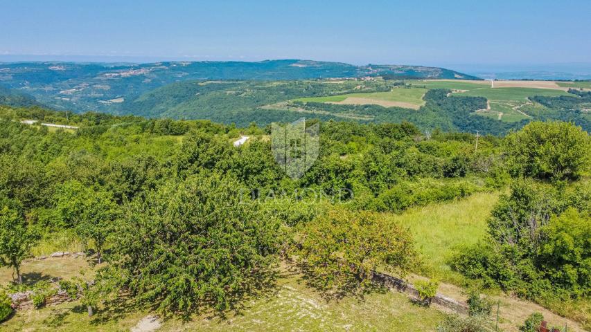 Land Buje, 1.205m2