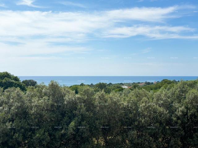 Apartment Apartment for sale with a sea view, Peroj!