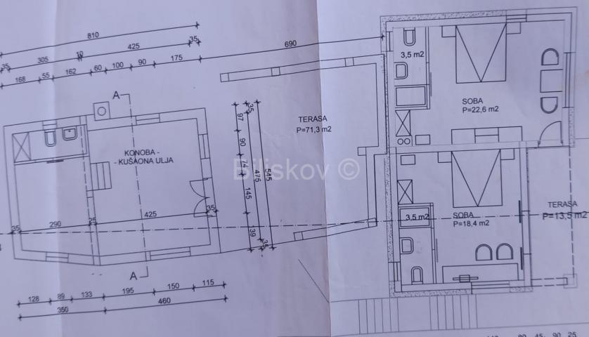 Prekrasno, samoodrživo imanje s kućom za najam i velikim maslinikom. 