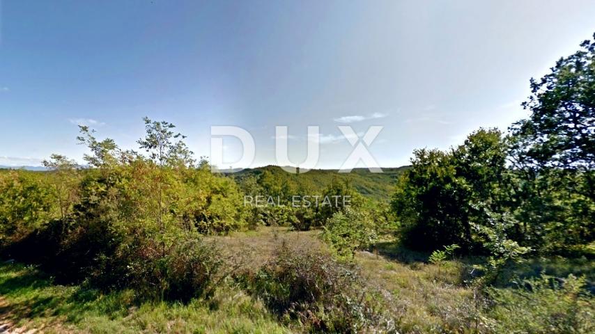 Land Tinjan, 1.038m2