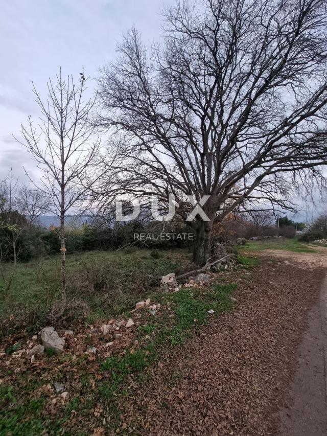 Land Pridraga, Novigrad, 666m2