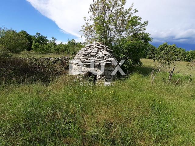 ISTRA, SVETVINČENAT - Poljoprivredno zemljište 24600 m2