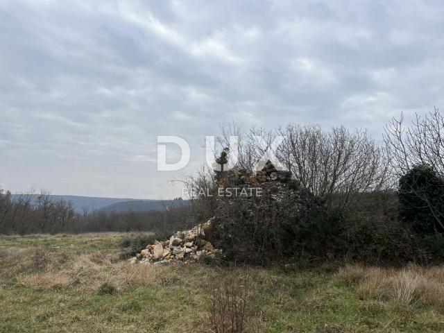 Land Brtonigla, 55.000m2