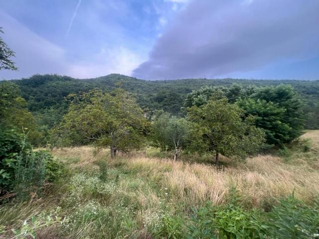 Land Sovinjak, Buzet, 2.000m2