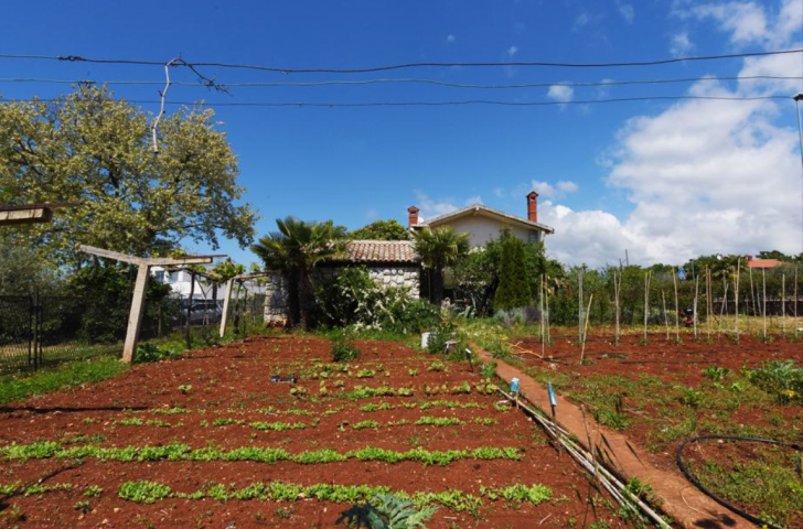 Haus Antonci, Poreč, 440m2