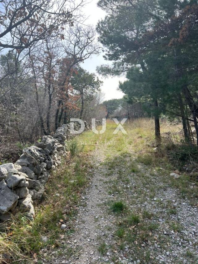 ISTRA, LABIN(OKOLICA) - Građevinsko zemljište s projektom na osami