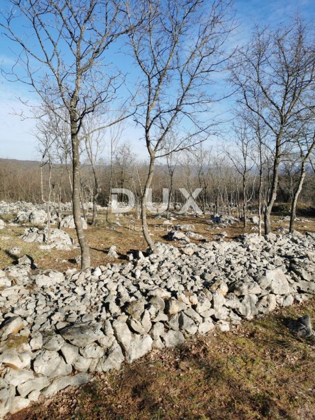 INSEL KRK, KRK (Umwelt) - Landwirtschaftliche Flächen