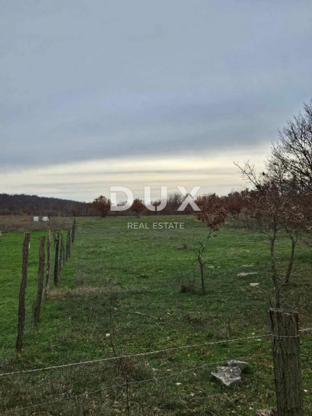 POREČ, ISTRA - Veliko poljoprivredno zemljište