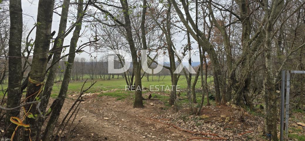 Land Labin, 10.053m2