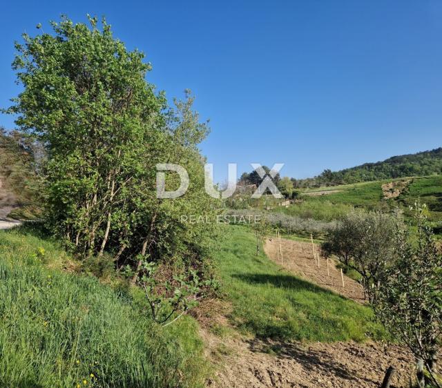 ISTRIA, CEROVLJE - Impressive building plot with olive trees