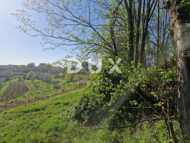 ISTRIA, CEROVLJE - Impressive building plot with olive trees