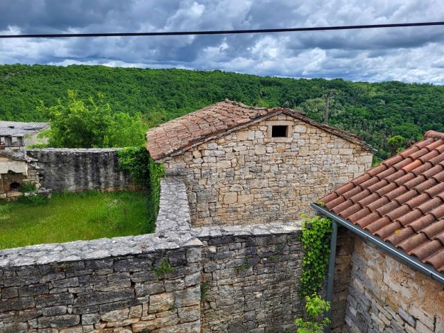 ISTRA. TINJAN - Dva kamena objekta 