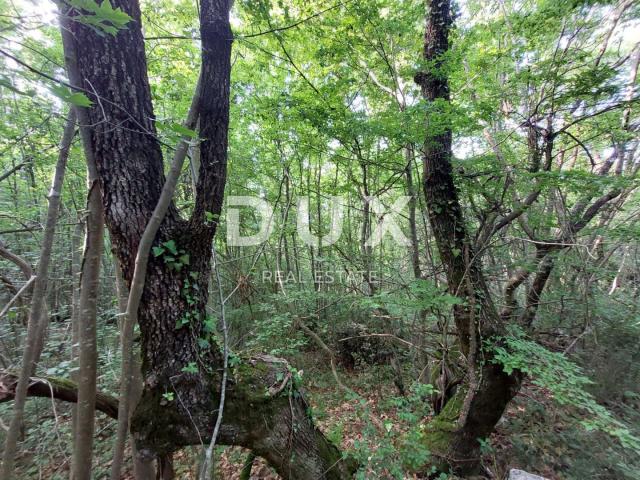 Land Labin, 13.056m2