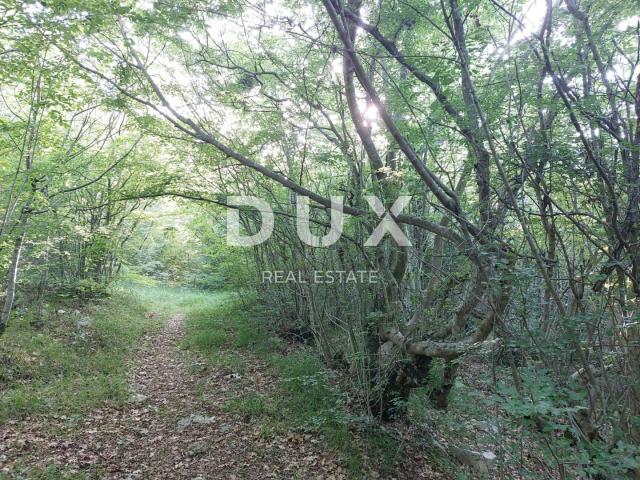 Land Labin, 13.056m2