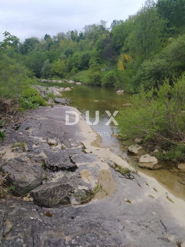 ISTRA, PAZIN - Obiteljska kuća u prirodi s prekrasno uređenom okućnicom, pogled na zelenilo