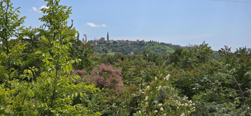 ISTRA, BUJE - Građevinsko zemljište s dozvolom za prizemnicu s bazenom, prekrasan pogled na more