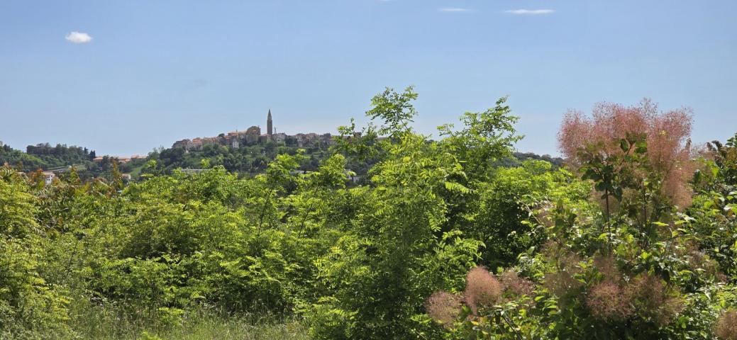 ISTRA, BUJE - Građevinsko zemljište s dozvolom za prizemnicu s bazenom, prekrasan pogled na more