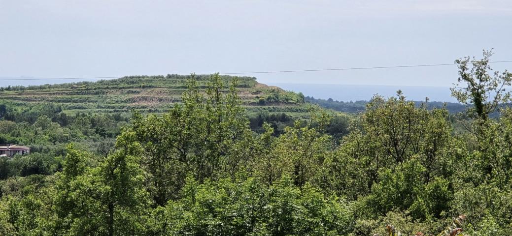 ISTRA, BUJE - Građevinsko zemljište s dozvolom za prizemnicu s bazenom, prekrasan pogled na more