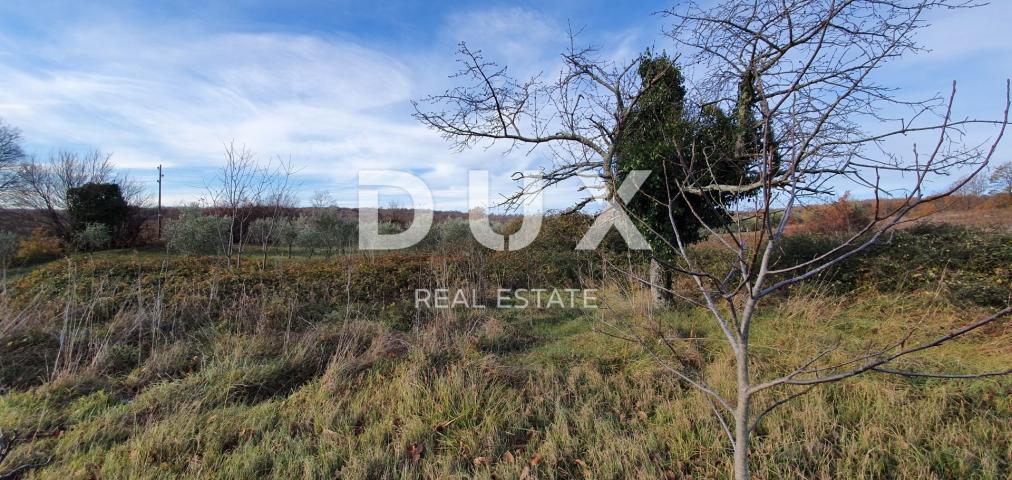 ISTRIA, BARBAN - Land with valid building permit and paid utilities, beautiful view