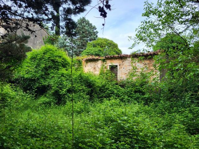 ISTRIA, PIĆAN - Two stone buildings with a garden